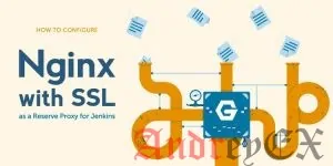 Как настроить Jenkins с помощью SSL и обратного прокси Nginx