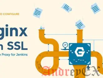 Как настроить Jenkins с помощью SSL и обратного прокси Nginx