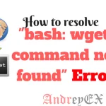 Как решить ошибку «bash wget command not found»