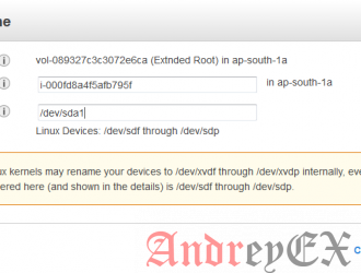 Instance does not have a volume attached at root (/dev/sda1)