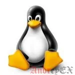 Команда Man в GNU/Linux