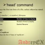 Команда Head в Linux для начинающих (5 примеров)