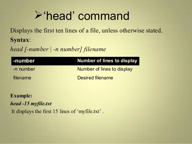Команда Head в Linux для начинающих (5 примеров)