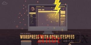 Установка WordPress с OpenLiteSpeed ​​на Ubuntu 16.04