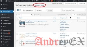 WordPress - Библиотека мультимедиа
