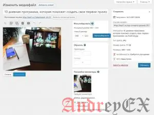 WordPress - Фон