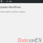Как избавиться от другого обновления в ходе ошибки в WordPress