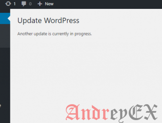 Как избавиться от другого обновления в ходе ошибки в WordPress