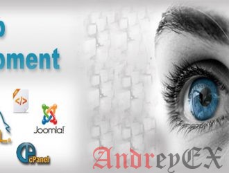 Почему за разработкой web-дизайна для сайта обратились на фриланс-биржу?