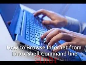 4 инструмента для просмотра Интернета с терминала Linux