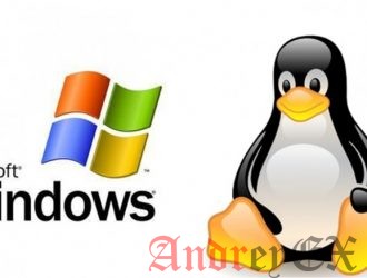 Веб хостинг: Windows или Linux?