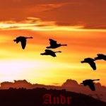 Переход на Linux. Введение