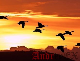 Переход на Linux. Введение