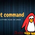 csplit - лучший способ разделения файла в Linux на основе его содержимого