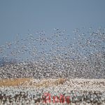 Переход на Linux. Использование Sudo