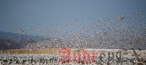 Переход на Linux. Использование Sudo