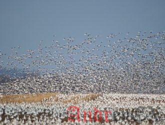 Переход на Linux. Использование Sudo