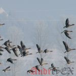Переход на Linux. Командная строка