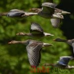 Переход на Linux. Сетевые и системные настройки