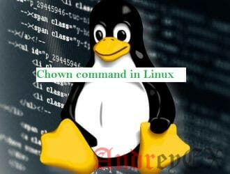 Команда Chown в Linux