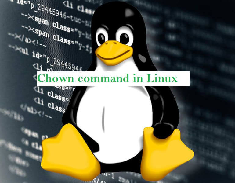 Chown. Chown линукс. Команда Chown. Команды Linux. You Linux.