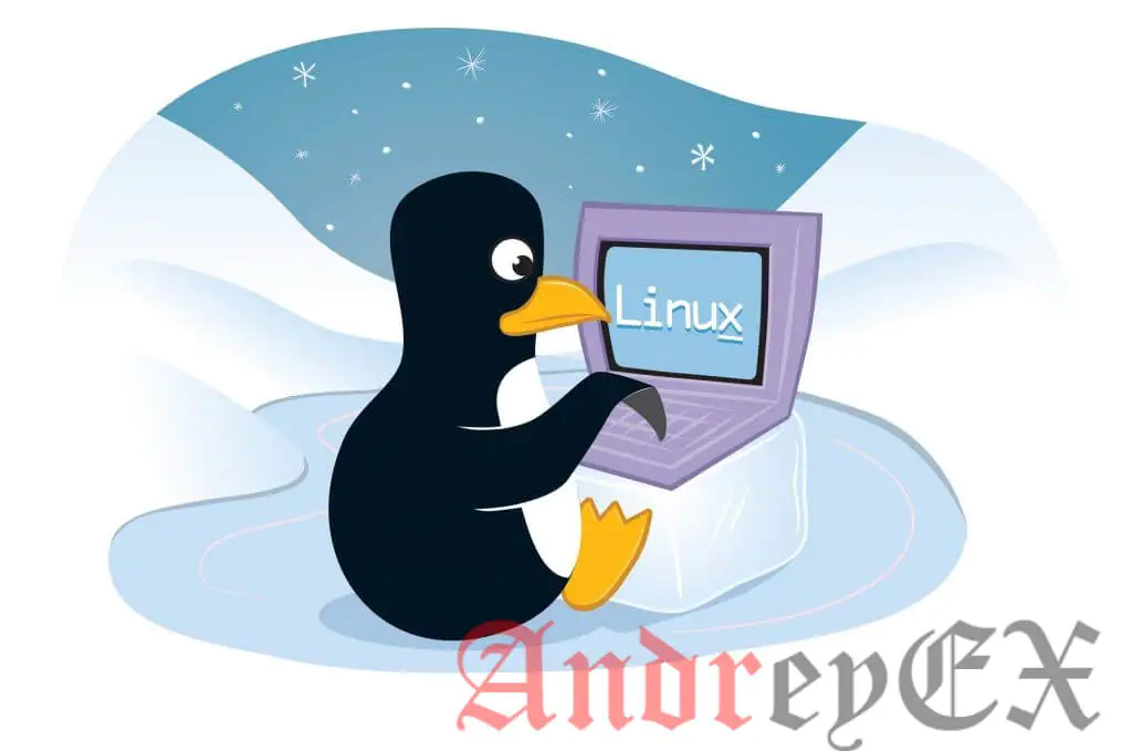 Команда file В Linux