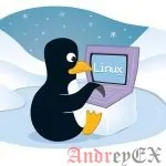 Команда file В Linux