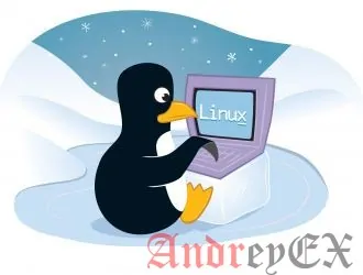 Команда file В Linux