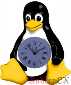 Команда time в Linux