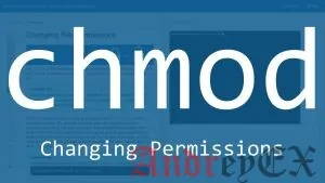 Примеры команд Chmod в Linux