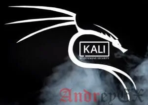 Как обновить Kali Linux с помощью одной команды