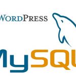 Поиск строк ключевых слов в постах WordPress