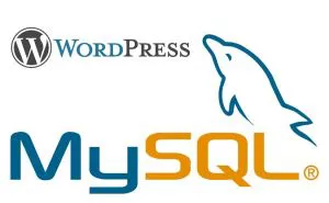 Поиск строк ключевых слов в постах WordPress
