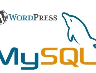 Поиск строк ключевых слов в постах WordPress