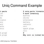 Команда Uniq в Linux с примерами