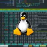 Команда Pidof в Linux