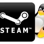 Как установить Steam на Ubuntu 20.04