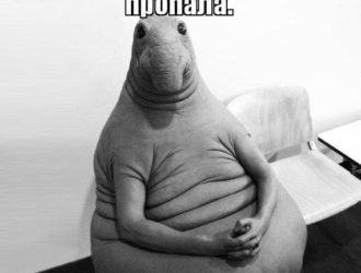 8 основных причин сбоя веб-сайта