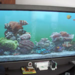 Плазменный телевизор