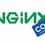 Как использовать CORS с Nginx