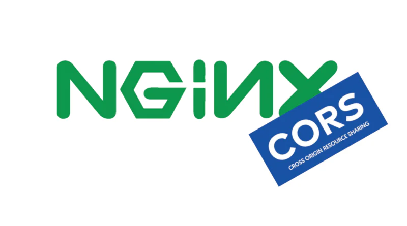 Как использовать CORS с Nginx