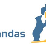 Как удалить повторяющиеся строки в Pandas Python