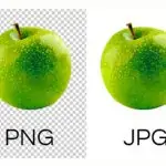 PNG против JPG. Что лучше для вашего сайта