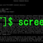 Сеанс сохранения экрана GNU при перезагрузке