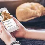 5 причин, по которым вашей ветеринарной клинике необходимо внедрить мобильное приложение lifestyle