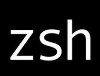 Как использовать плагины для ZSH