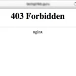 Как исправить 403 Forbidden в NGINX