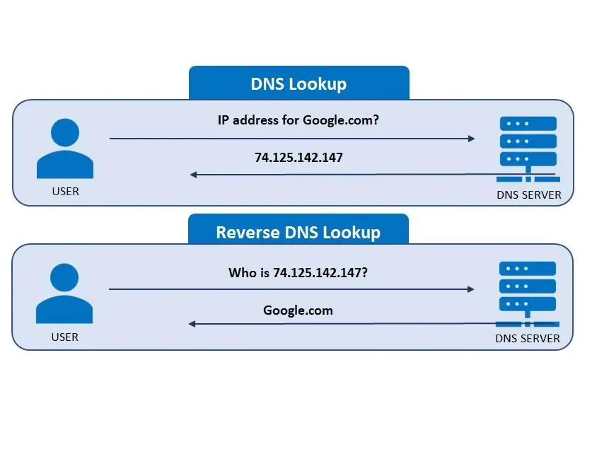 Как выполнить обратный поиск в DNS в Linux?