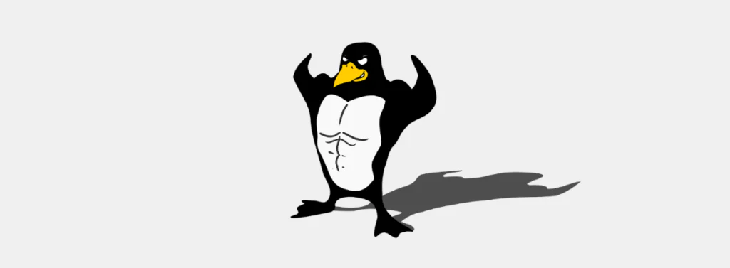 Как запустить команду patch в Linux