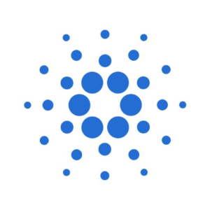 Биткойн против Эфириума. Описание наиболее популярных криптовалют